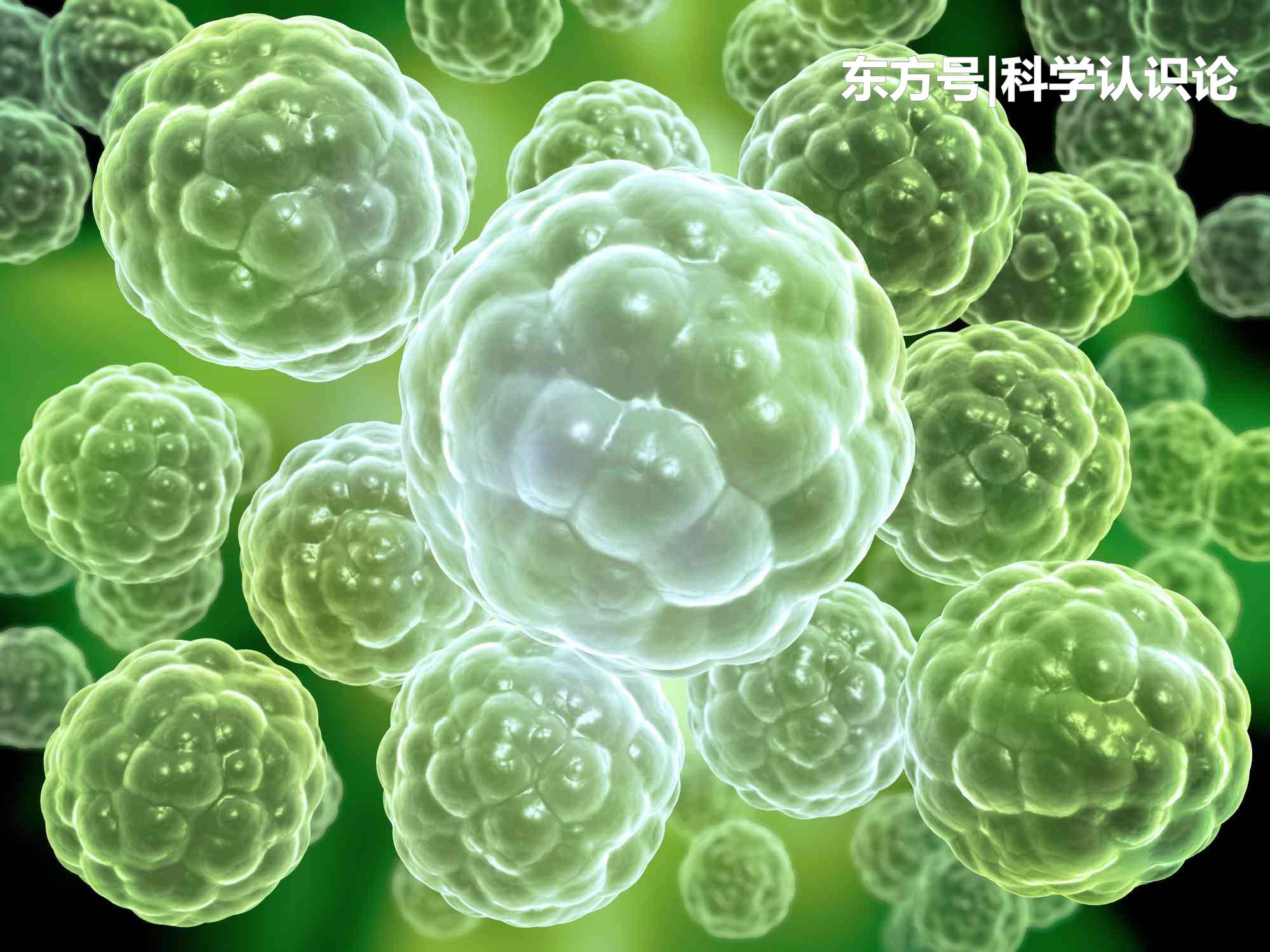 自然界的动物，都没有教它，为什么都懂得交配？374 / 作者:lming888 / 帖子ID:57193