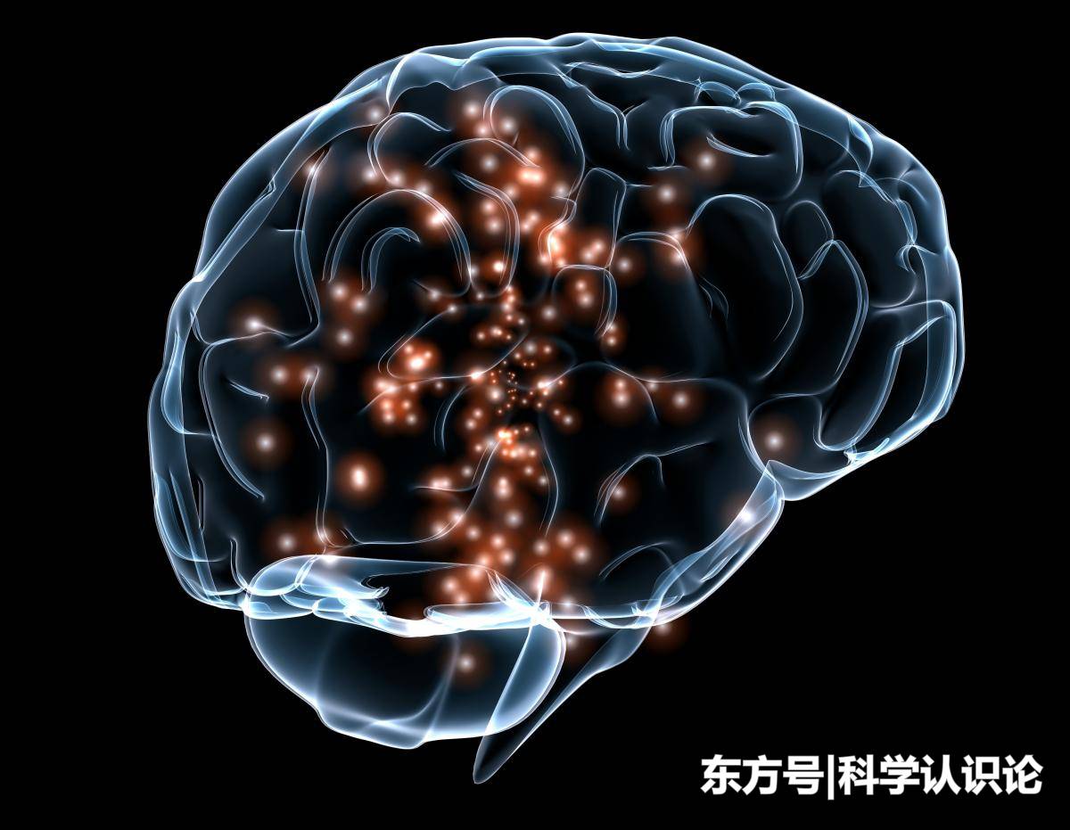 胎儿的意识是突然唤醒还是逐步唤醒的呢？415 / 作者:心随674 / 帖子ID:57194