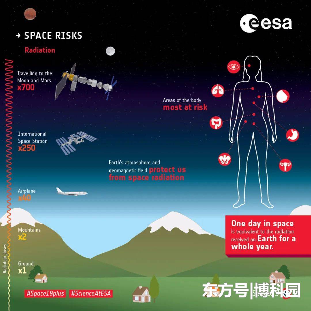 人类的心脏细胞，暴露在宇宙辐射中时，会发生什么反应？416 / 作者:刘金栋 / 帖子ID:57301