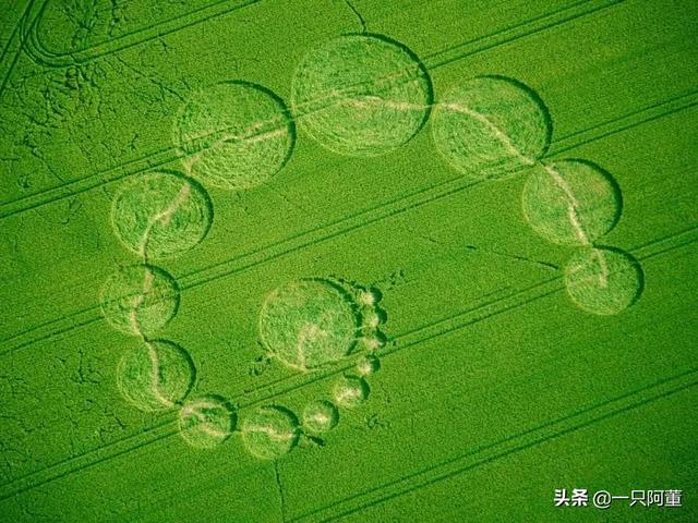 你怎么看“麦田怪圈”？242 / 作者:也曾相识825 / 帖子ID:57402