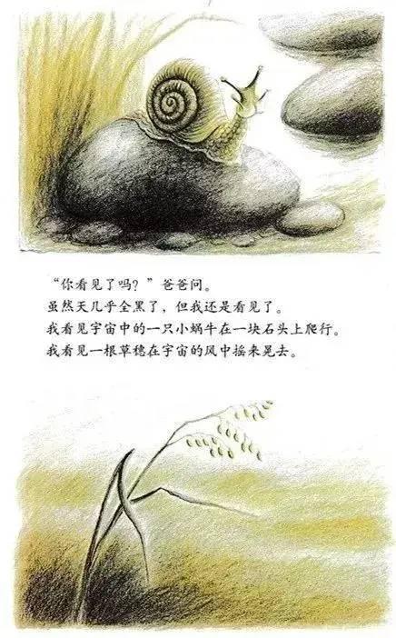 《爸爸带我看宇宙》绘本读后感398 / 作者:lgy_103 / 帖子ID:57420