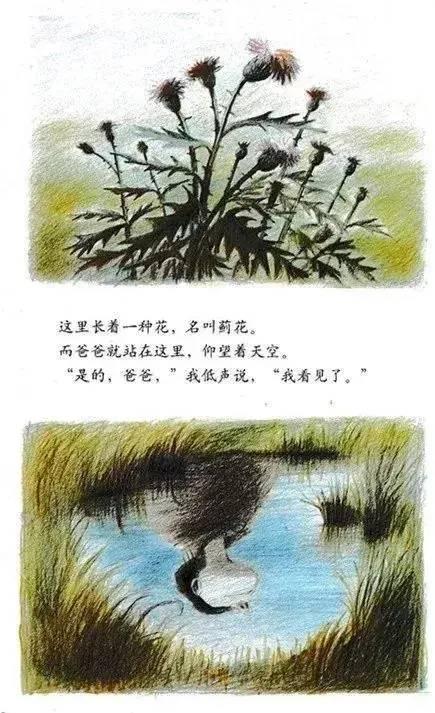 《爸爸带我看宇宙》绘本读后感260 / 作者:lgy_103 / 帖子ID:57420