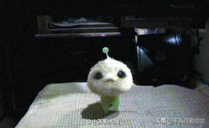 真的有外星人吗？谁能告诉我？670 / 作者:肥牛于田揖 / 帖子ID:57463
