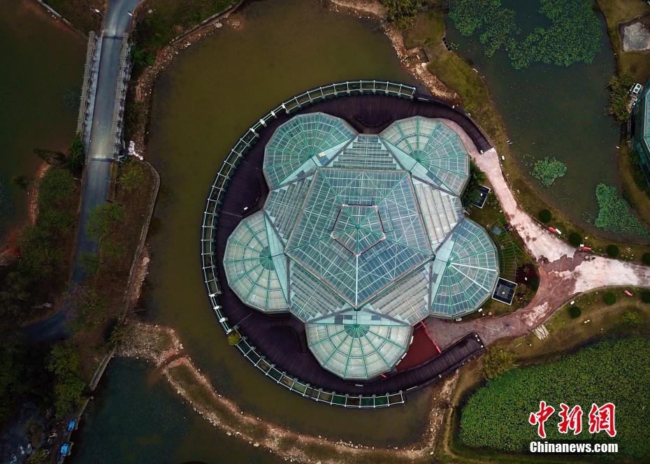 航拍中科院华南植物园 酷似“外星人基地”496 / 作者:jiaguangqin / 帖子ID:57477