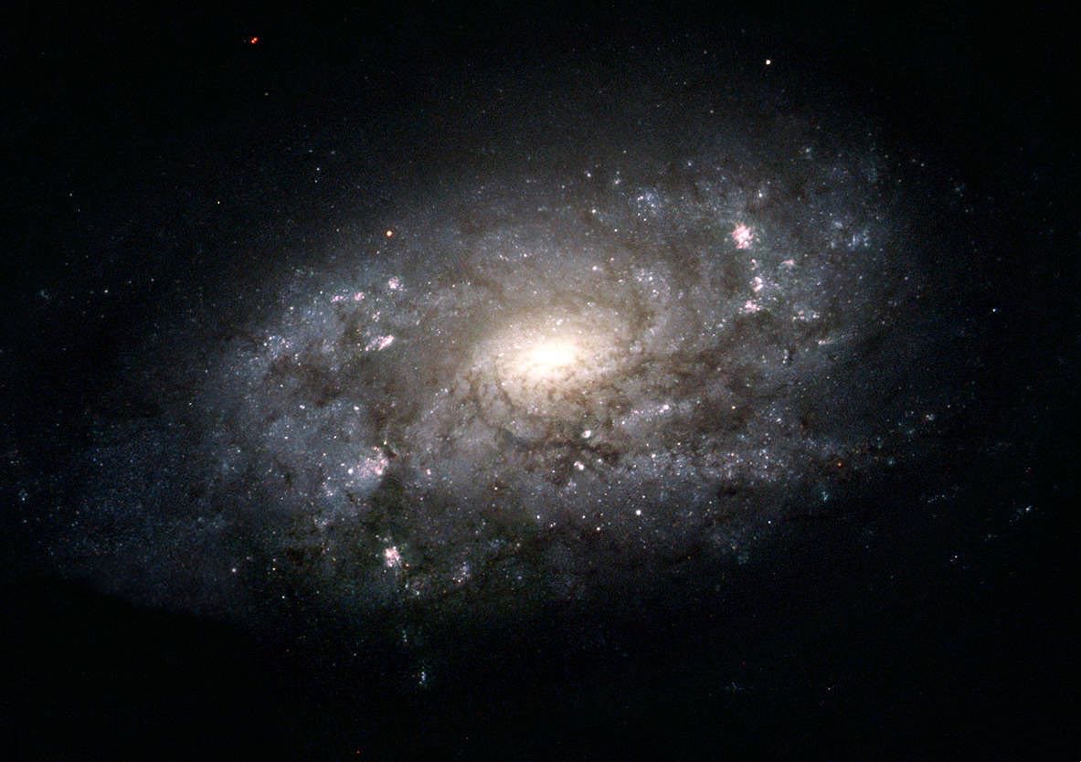 大家在NASA查到的自己生日那天的宇宙是什么样的？6 / 作者:lgy_103 / 帖子ID:58167