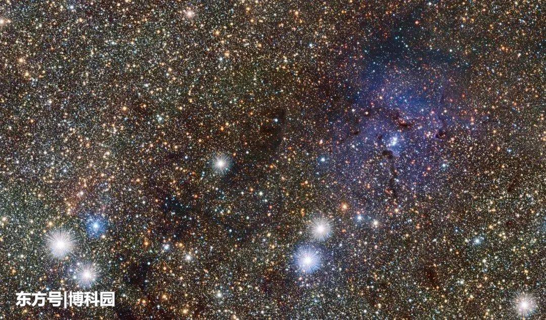 因为光线被弯曲，在银河系中央凸起处，发现两颗漂浮着的恒星！521 / 作者:flkin / 帖子ID:58200