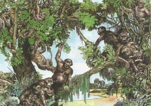 人类起源之谜：地球上第一个人类是怎么来的？这里告诉你答案375 / 作者:Creseda / 帖子ID:58272