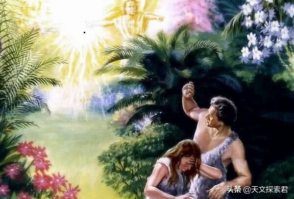 人类起源之谜：地球上第一个人类是怎么来的？这里告诉你答案322 / 作者:Creseda / 帖子ID:58272