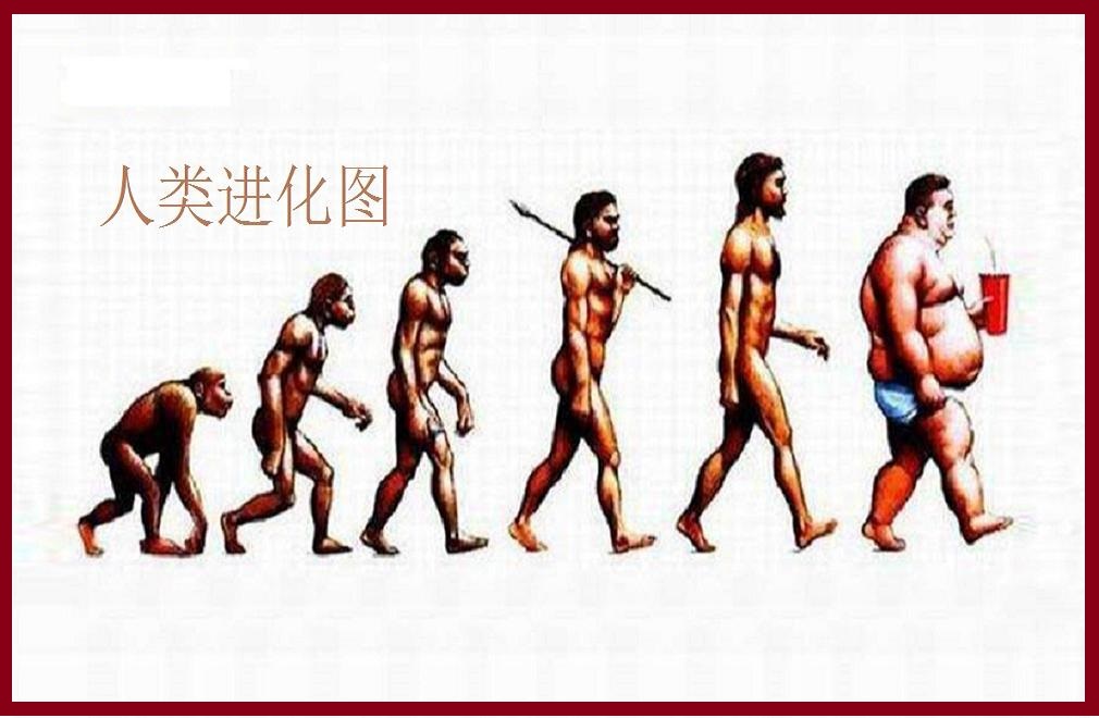 人类祖先是谁？是从那里来的？824 / 作者:史前文明微雕石 / 帖子ID:49358
