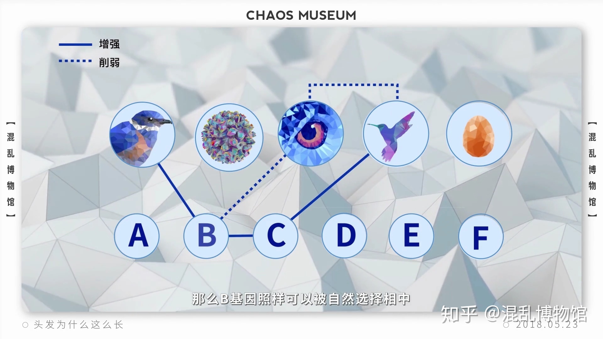 为什么人类在进化过程中其他体毛褪去，而头发越来越长？777 / 作者:pvrdxwsqhl / 帖子ID:58493