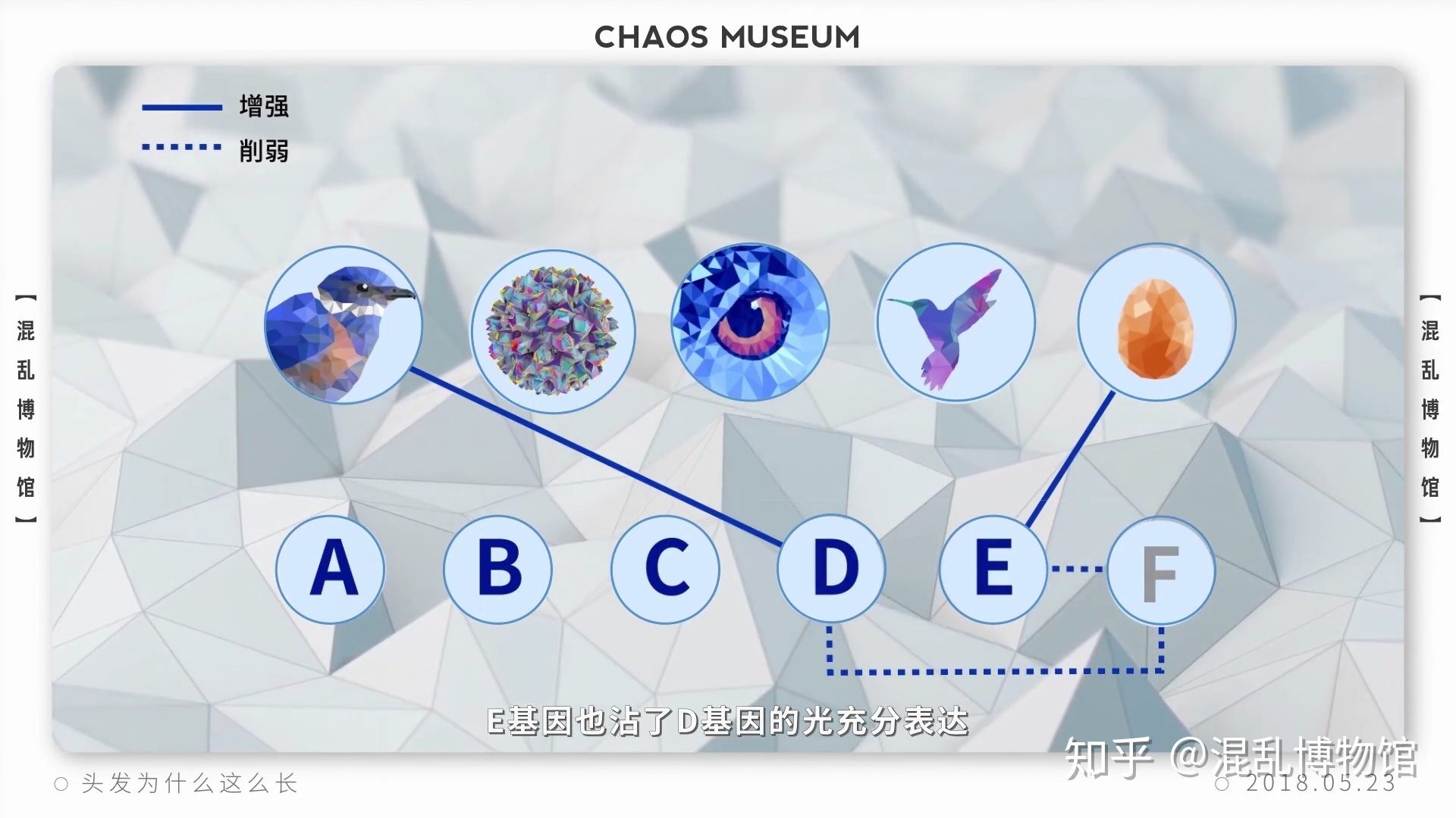 为什么人类在进化过程中其他体毛褪去，而头发越来越长？963 / 作者:pvrdxwsqhl / 帖子ID:58493