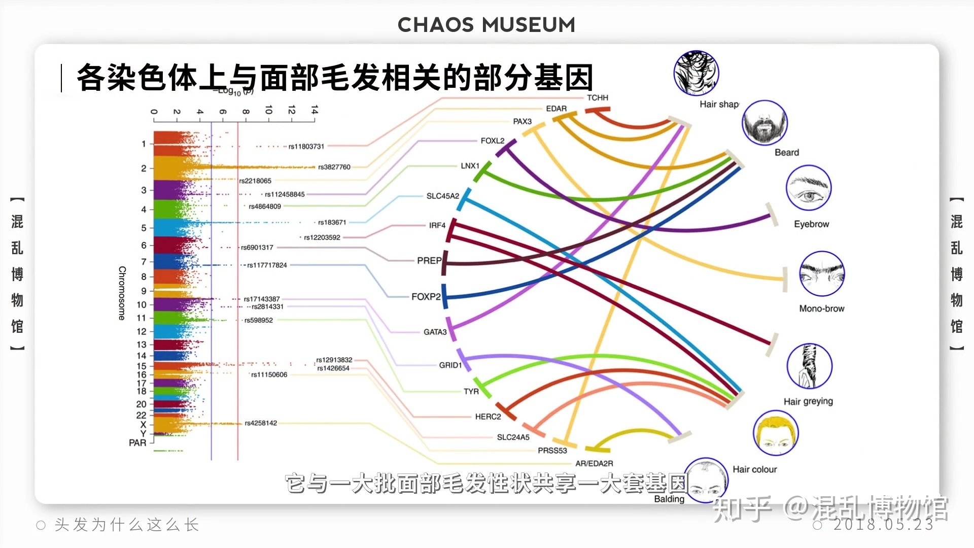 为什么人类在进化过程中其他体毛褪去，而头发越来越长？335 / 作者:pvrdxwsqhl / 帖子ID:58493