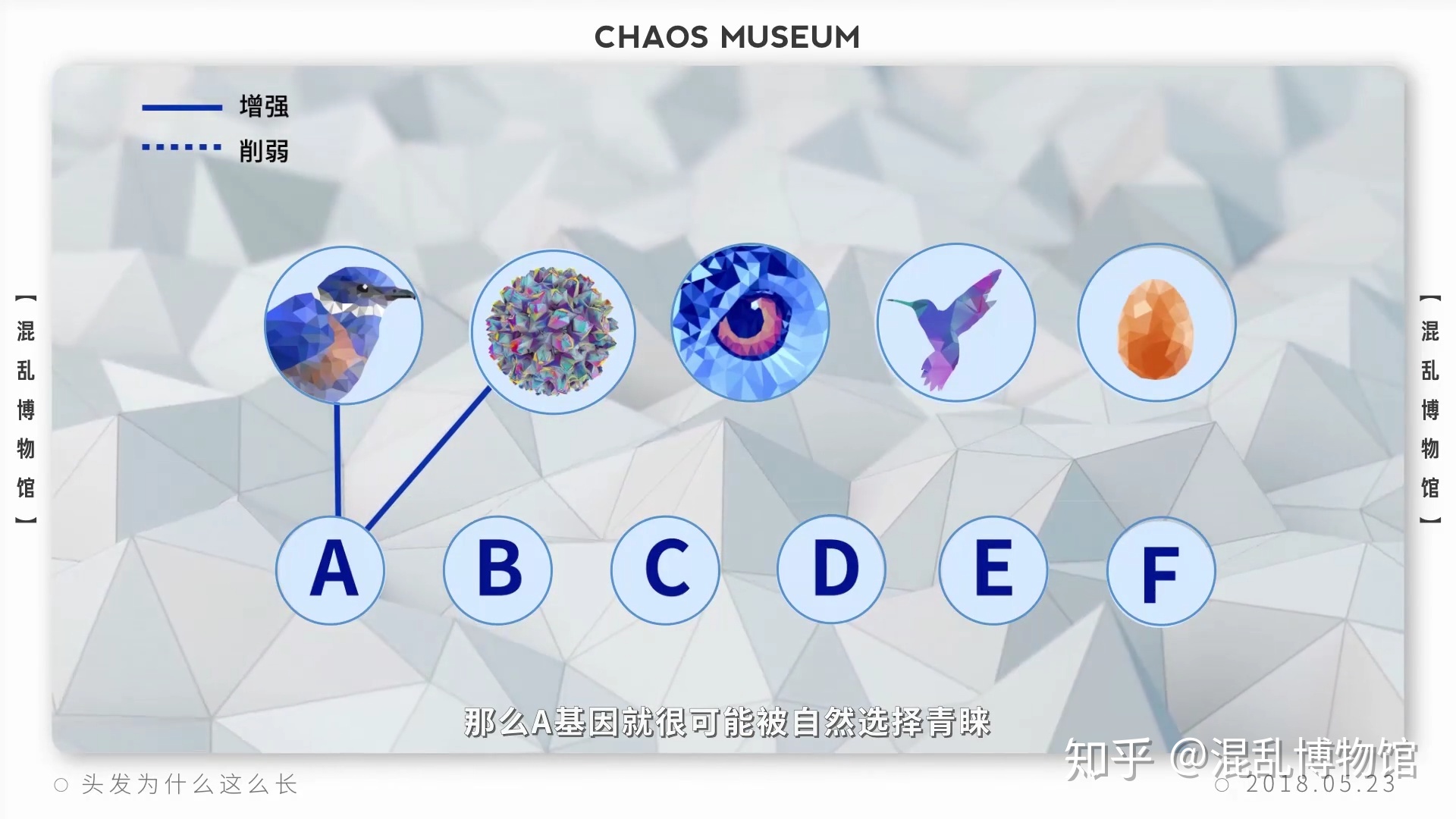 为什么人类在进化过程中其他体毛褪去，而头发越来越长？893 / 作者:pvrdxwsqhl / 帖子ID:58493