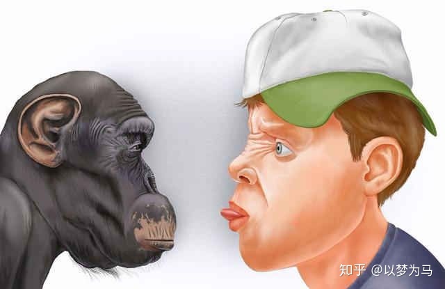 为什么人类在进化过程中其他体毛褪去，而头发越来越长？362 / 作者:常务管理员 / 帖子ID:58493