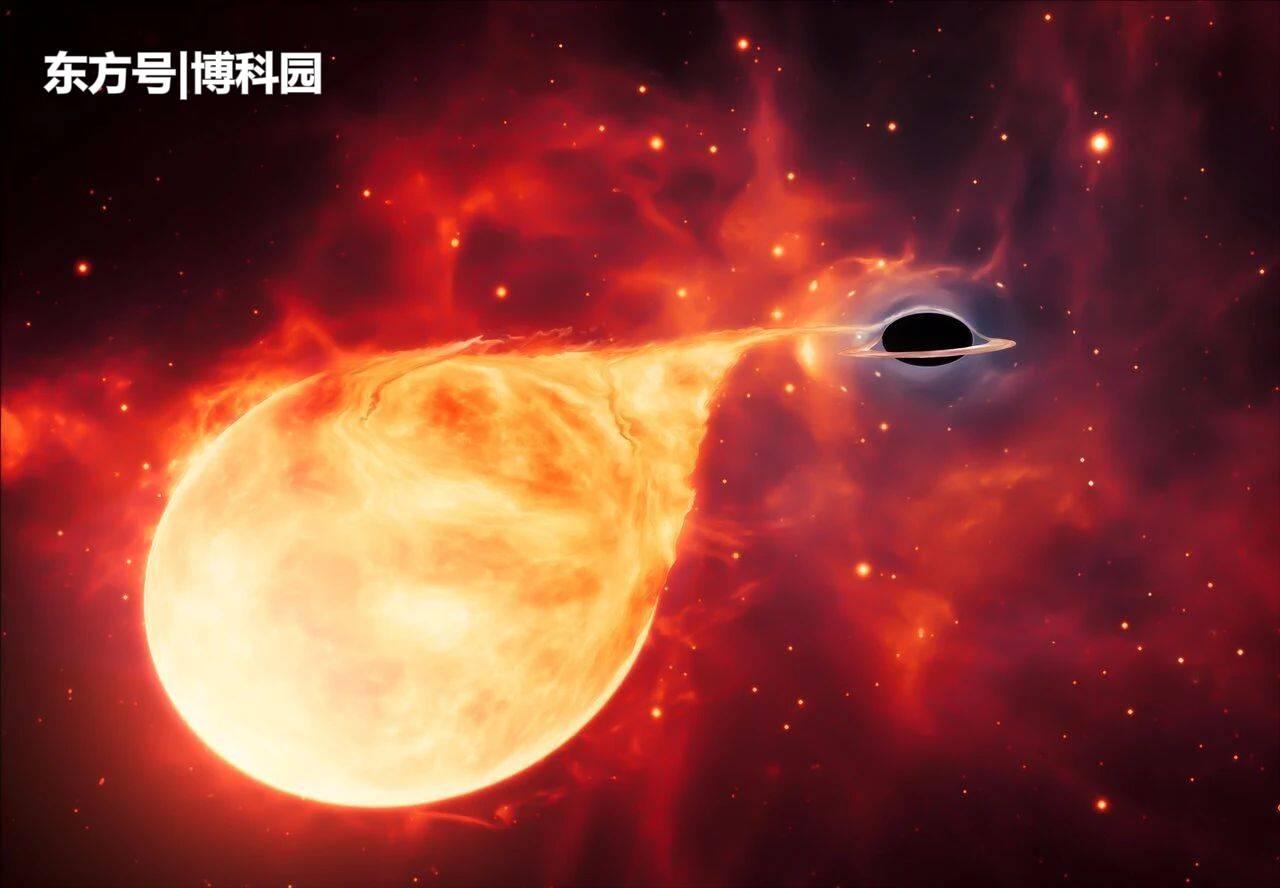 哈勃望远镜发现：一个正在“吃”恒星的黑洞，太阳质量的5万倍！534 / 作者:随遇而安428 / 帖子ID:58502
