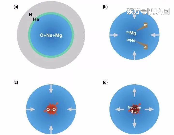 氖把电子“吃”了，导致恒星坍塌死亡，千里之堤，溃于蚁穴啊！657 / 作者:yy760 / 帖子ID:58503