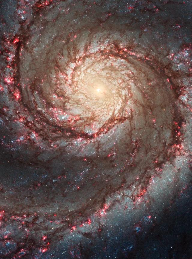 你生日那天的宇宙长什么样子？41 / 作者:pAxvOHtH / 帖子ID:58520