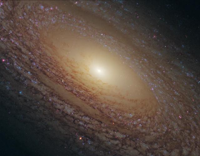 你生日那天的宇宙长什么样子？487 / 作者:pAxvOHtH / 帖子ID:58520