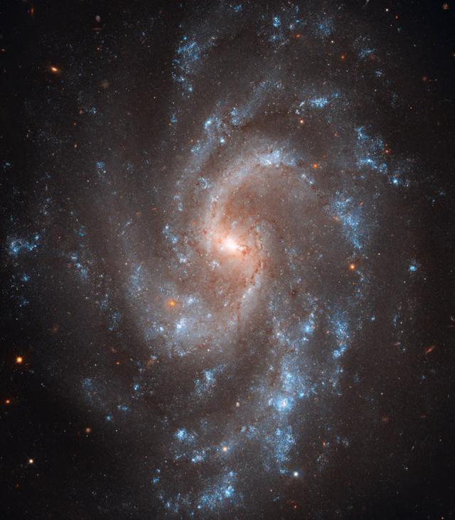 你生日那天的宇宙长什么样子？735 / 作者:pAxvOHtH / 帖子ID:58520