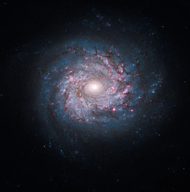 你生日那天的宇宙长什么样子？388 / 作者:pAxvOHtH / 帖子ID:58520