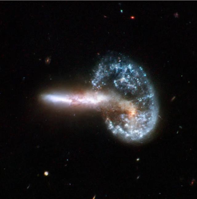 你生日那天的宇宙长什么样子？76 / 作者:pAxvOHtH / 帖子ID:58520