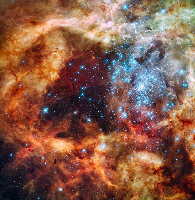 你生日那天的宇宙长什么样子？572 / 作者:pAxvOHtH / 帖子ID:58520