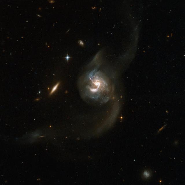 你生日那天的宇宙长什么样子？287 / 作者:pAxvOHtH / 帖子ID:58520