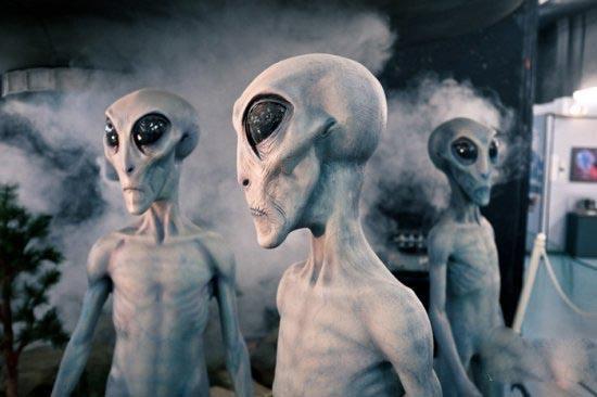 尼安德特人头骨发现圆孔，被说成外星人的弹洞，专家说推断不严谨380 / 作者:凝固 / 帖子ID:58540