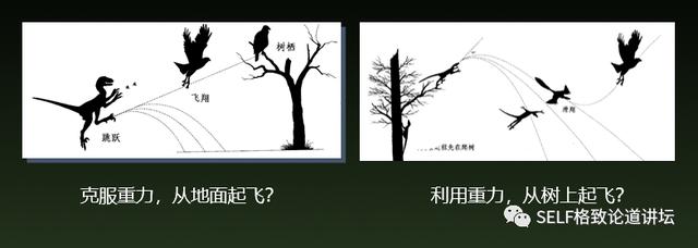 这种神秘的暗物质，居然也被认为是造成恐龙灭绝的原因817 / 作者:jansie1314 / 帖子ID:58544