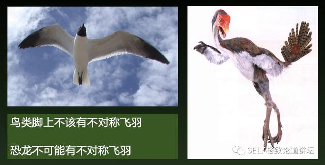 这种神秘的暗物质，居然也被认为是造成恐龙灭绝的原因109 / 作者:jansie1314 / 帖子ID:58544