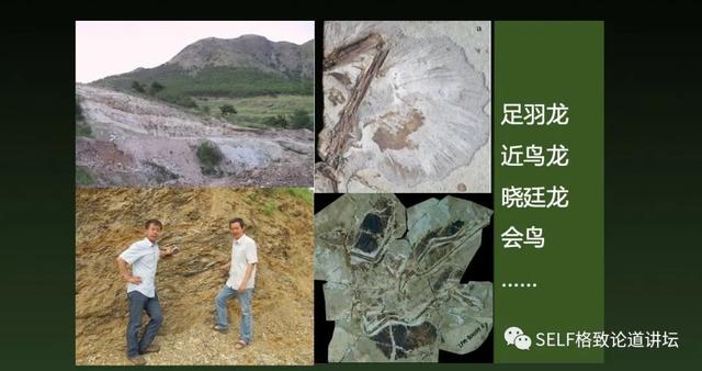 这种神秘的暗物质，居然也被认为是造成恐龙灭绝的原因744 / 作者:jansie1314 / 帖子ID:58544