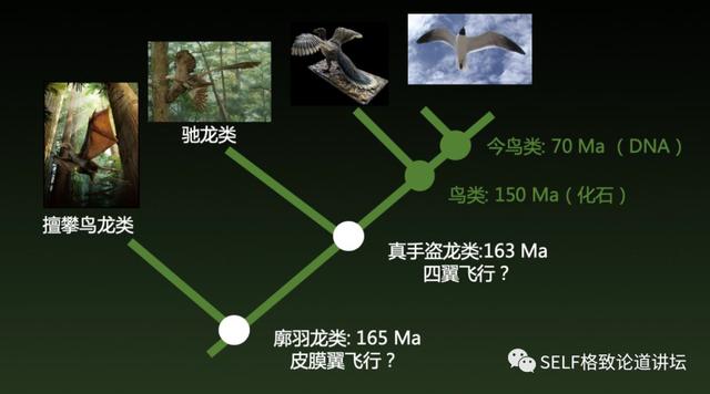 这种神秘的暗物质，居然也被认为是造成恐龙灭绝的原因832 / 作者:jansie1314 / 帖子ID:58544