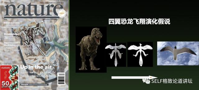 这种神秘的暗物质，居然也被认为是造成恐龙灭绝的原因381 / 作者:jansie1314 / 帖子ID:58544