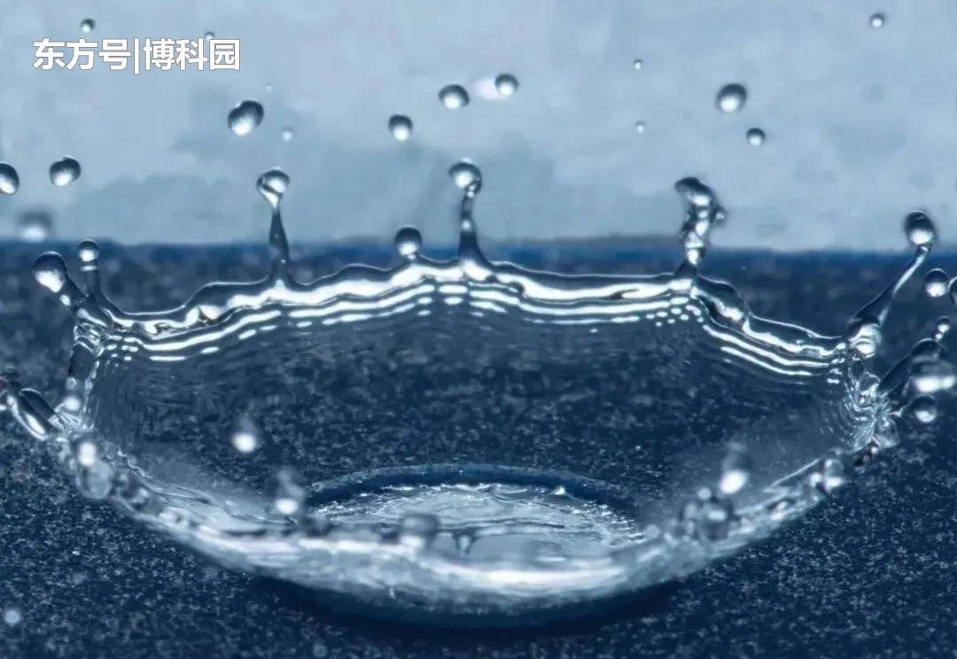 几乎无处不在的水滴，是如何形成的？液滴形成背后的原理可不简单889 / 作者:joy3118 / 帖子ID:58703