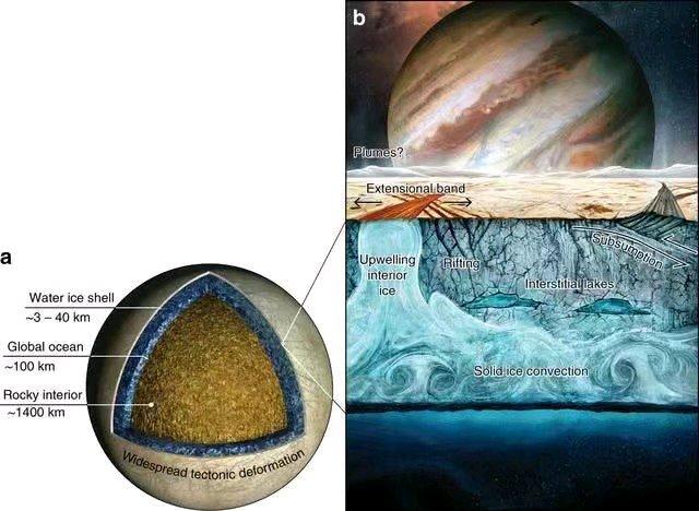 南极冰下800米：科学家发现“异形生命”，颠覆对外星人的认知781 / 作者:热忽行退 / 帖子ID:58717