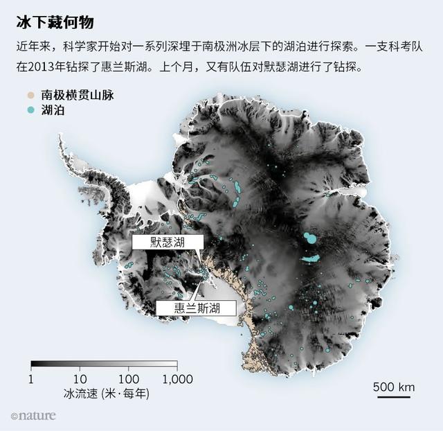 南极冰下800米：科学家发现“外星世界”，颠覆对外星人的认知17 / 作者:的关法规范化 / 帖子ID:58743