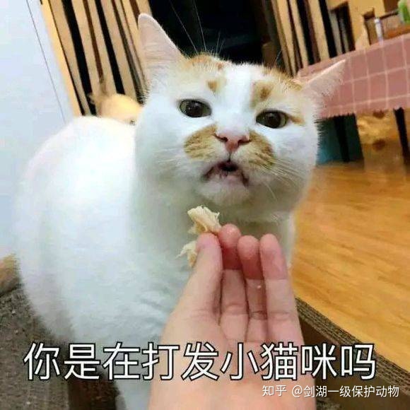 央视科普节目《走近科学》正式停播，你有什么想说的？628 / 作者:墙和鸡蛋 / 帖子ID:58943