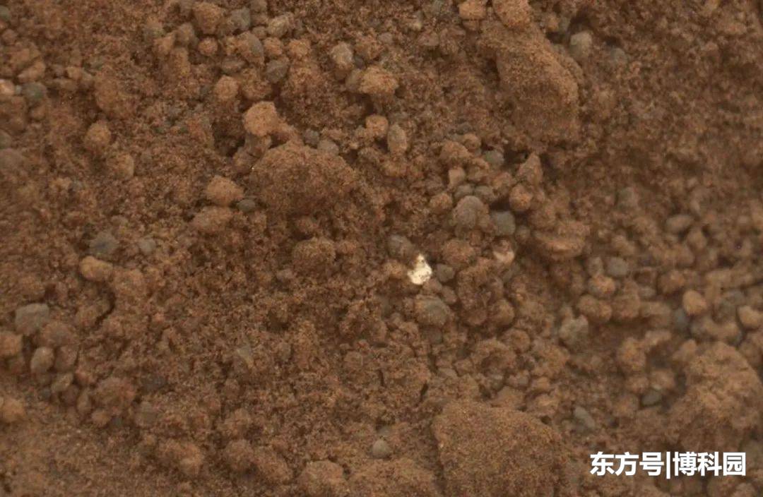 如果你能把一些东西从火星带回地球，你会选择什么？576 / 作者:宿命958 / 帖子ID:58949