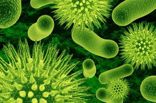 南极冰下800米出现“异形生命”？科学家：或颠覆外星人的认知960 / 作者:eromy / 帖子ID:58957