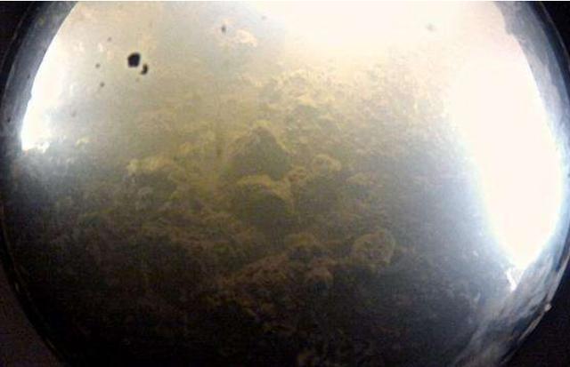 南极冰下800米出现“异形生命”？科学家：或颠覆外星人的认知208 / 作者:eromy / 帖子ID:58957