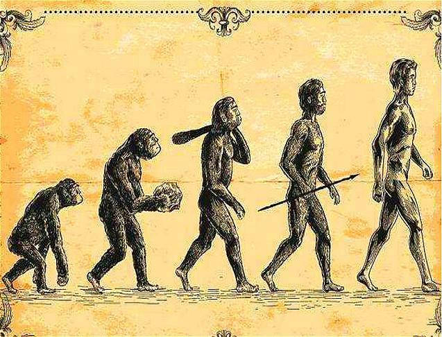 人类起源于哪里？黄种是不是人类的祖先？基于5个研究视角的分析109 / 作者:kevinbe888 / 帖子ID:58965