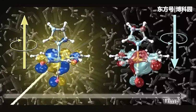 与十亿分之一秒的时间赛跑，终于实现看到单个分子结构的技术！405 / 作者:云山千叠885 / 帖子ID:59174