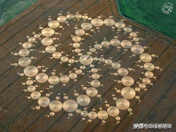 麦田怪圈已有369年历史，你是如何理解的？55 / 作者:特朗普大爷 / 帖子ID:59195