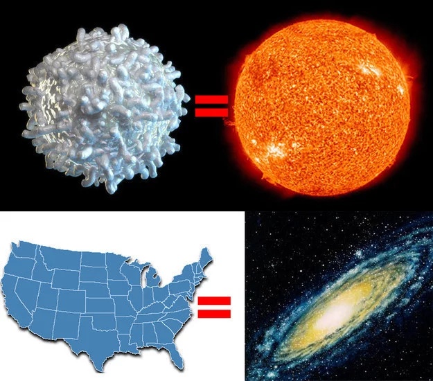 有哪些能体现宇宙之大人类之渺小的图片？609 / 作者:阳光里的他 / 帖子ID:59196