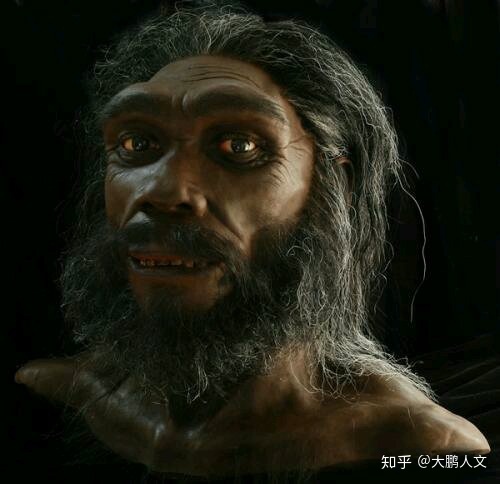 为什么远古时期的人类能靠跑步抓猎物把猎物活活累死？354 / 作者:David902 / 帖子ID:59197
