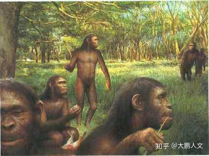 为什么远古时期的人类能靠跑步抓猎物把猎物活活累死？784 / 作者:David902 / 帖子ID:59197