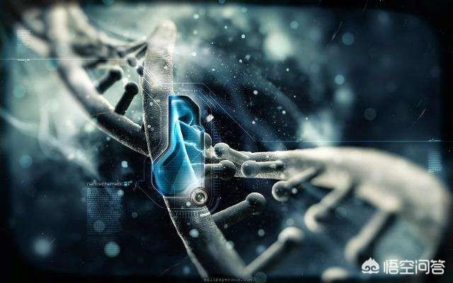 世界上存在外星人吗？有什么证据吗？879 / 作者:内托体头 / 帖子ID:59202