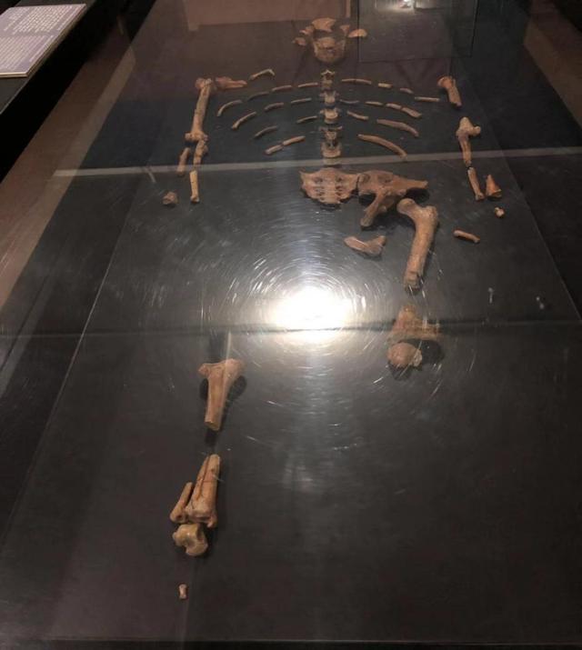 从人类起源到人类的拯救与实现425 / 作者:胡胡胡美丽_ss / 帖子ID:59217