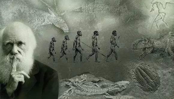 人类被起源学说骗100多年？事实让人无法接受，3亿年前我们是条鱼979 / 作者:常务管理员 / 帖子ID:59436