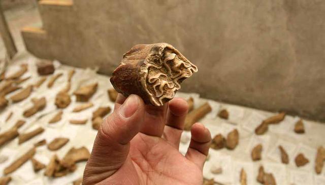 人类起源之谜，中国人起源非洲还是亚洲，哪种学说更靠谱？586 / 作者:wanggechou / 帖子ID:59727